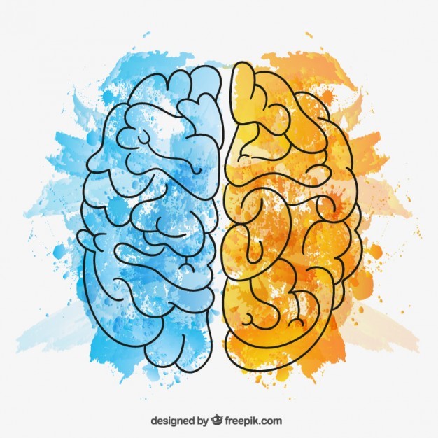 نگاهی به حافظه دیداری انسان؛ آنچه در مورد حافظه دیداری باید بدانیم