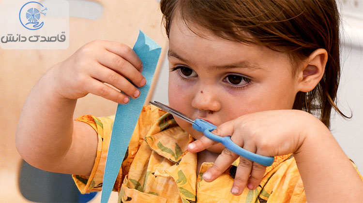 چالش‌های مرتبط با برتری طرفی