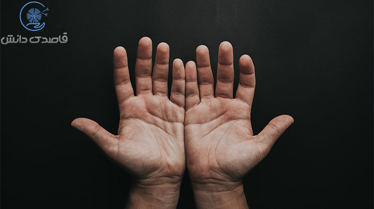 ارتباط بین برتری طرفی و تأخیر رشد چیست؟