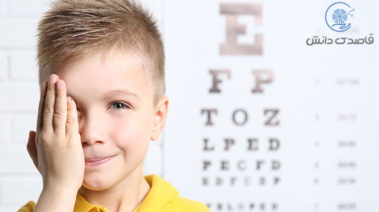 دقت دیداری چیست؟