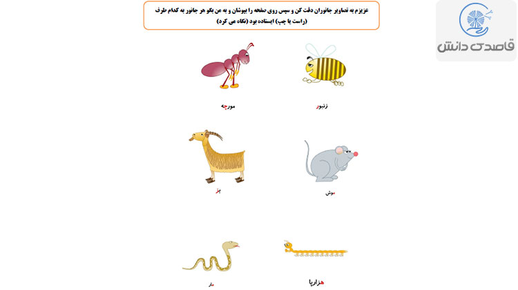 انواع کاربرگ حافظه دیداری
